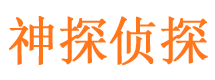 江岸私家侦探公司